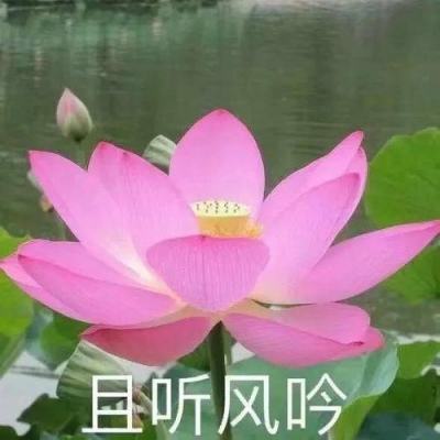 御剑九州官方下载