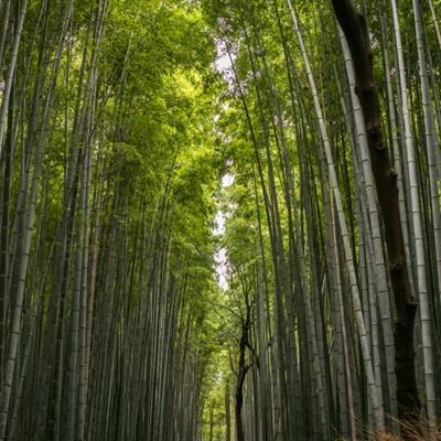 魔灵勇士游戏下载